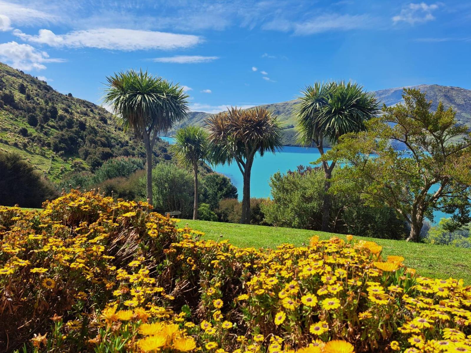 Port Levy B & B Christchurch Exteriér fotografie